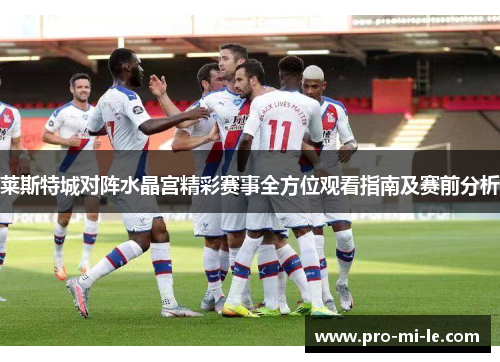 莱斯特城对阵水晶宫精彩赛事全方位观看指南及赛前分析