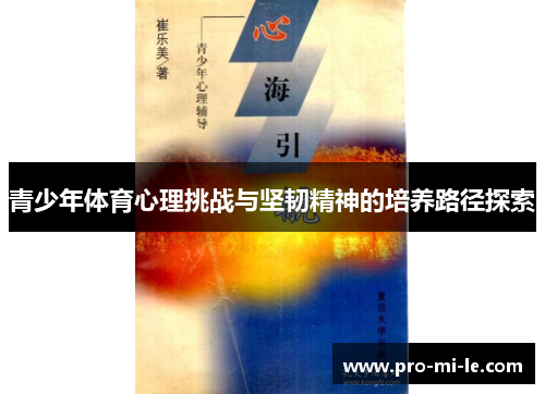 青少年体育心理挑战与坚韧精神的培养路径探索