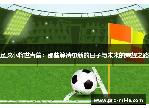 足球小将世青篇：那些等待更新的日子与未来的荣耀之路