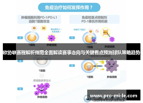 欧协联赛程解析指南全面解读赛事走向与关键看点预测球队策略趋势