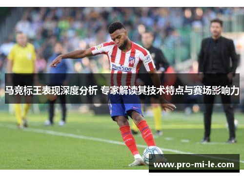 马竞标王表现深度分析 专家解读其技术特点与赛场影响力